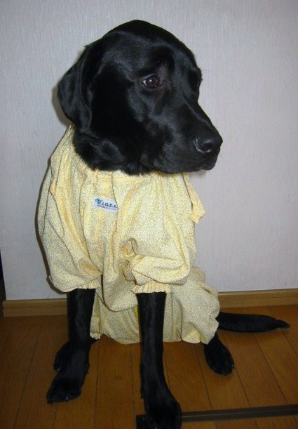 �o���������Ƃ�������I