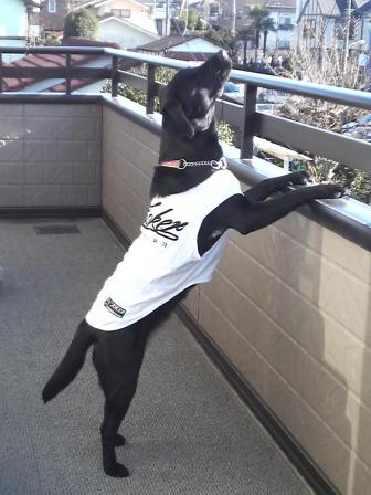 �o���������Ƃ�������I