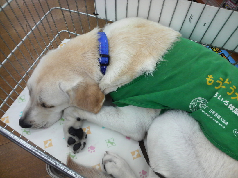 �o���������Ƃ�������I