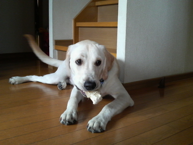 �o���������Ƃ�������I