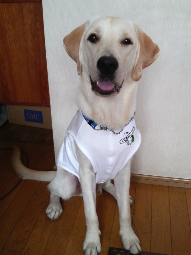 �o���������Ƃ�������I