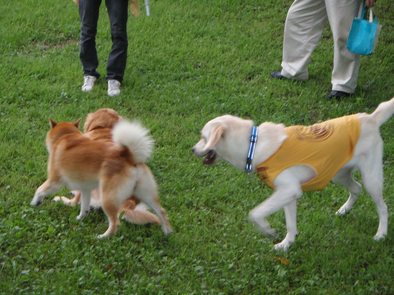 �o���������Ƃ�������I