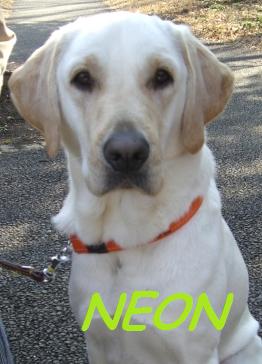 �o���������Ƃ�������I