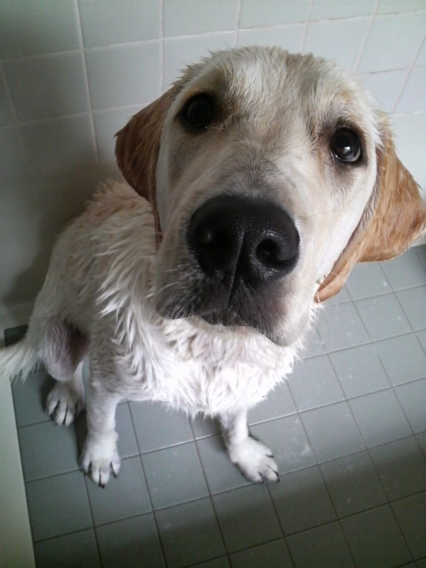 �o���������Ƃ�������I