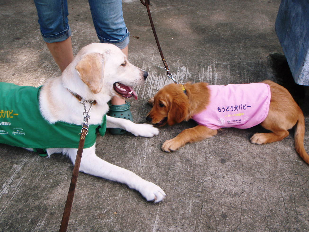 �o���������Ƃ�������I