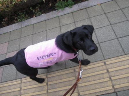 �o���������Ƃ�������I