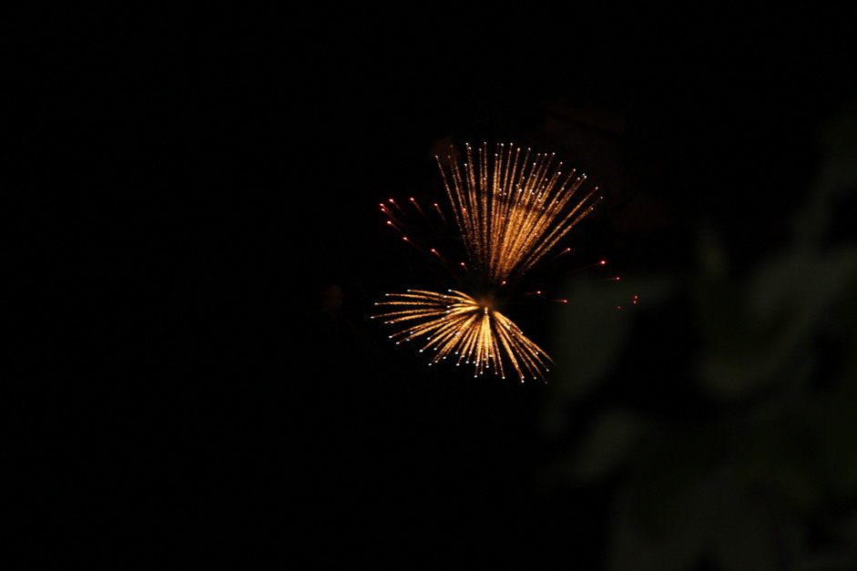 ����H�[��FUMI���̓��L