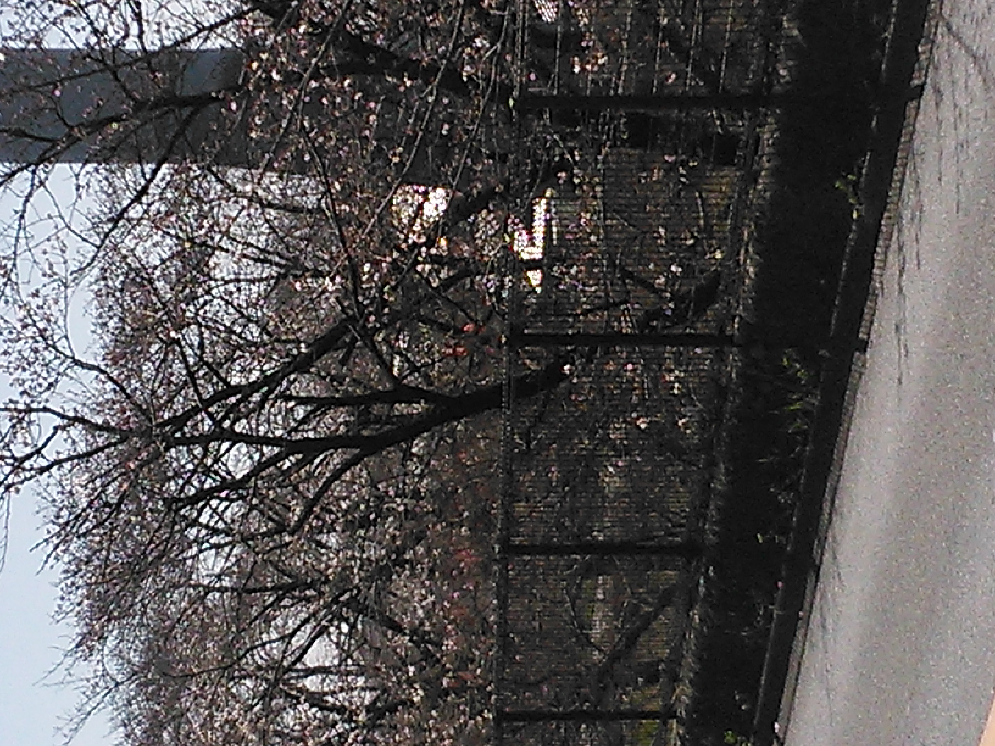 ����H�[��FUMI���̓��L