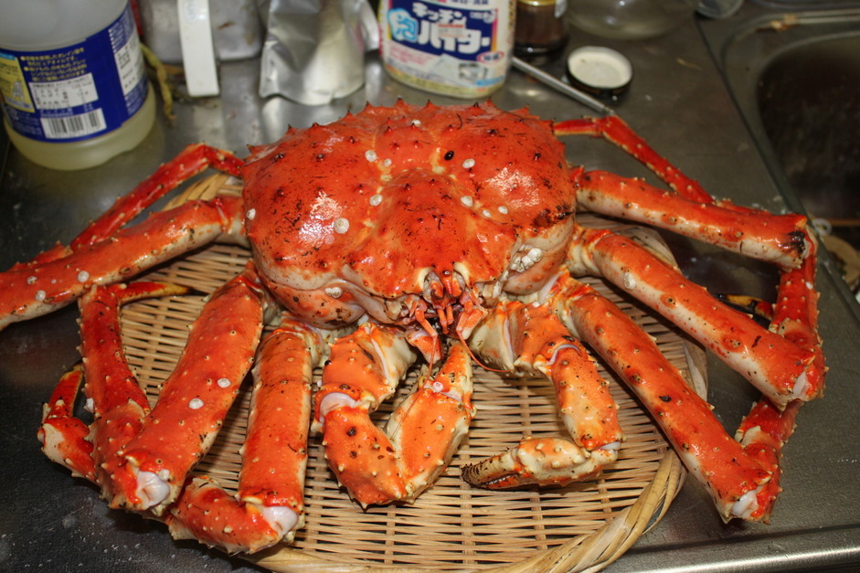 ����H�[��FUMI���̓��L