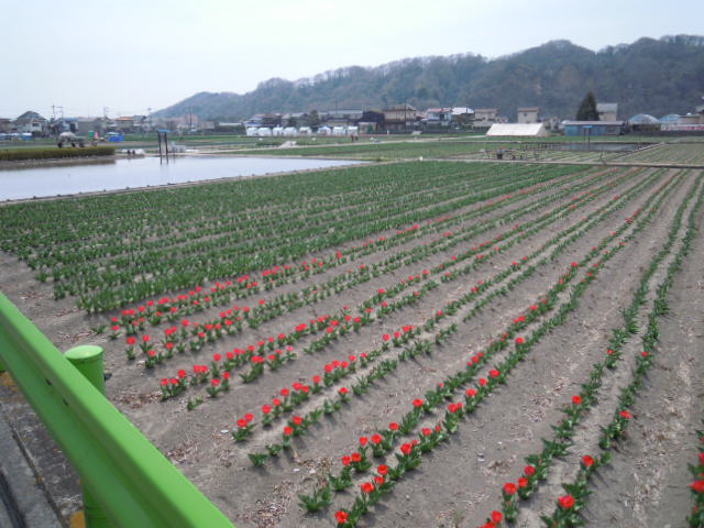 ����H�[��FUMI���̓��L