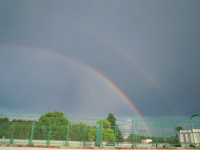 ����H�[��FUMI���̓��L