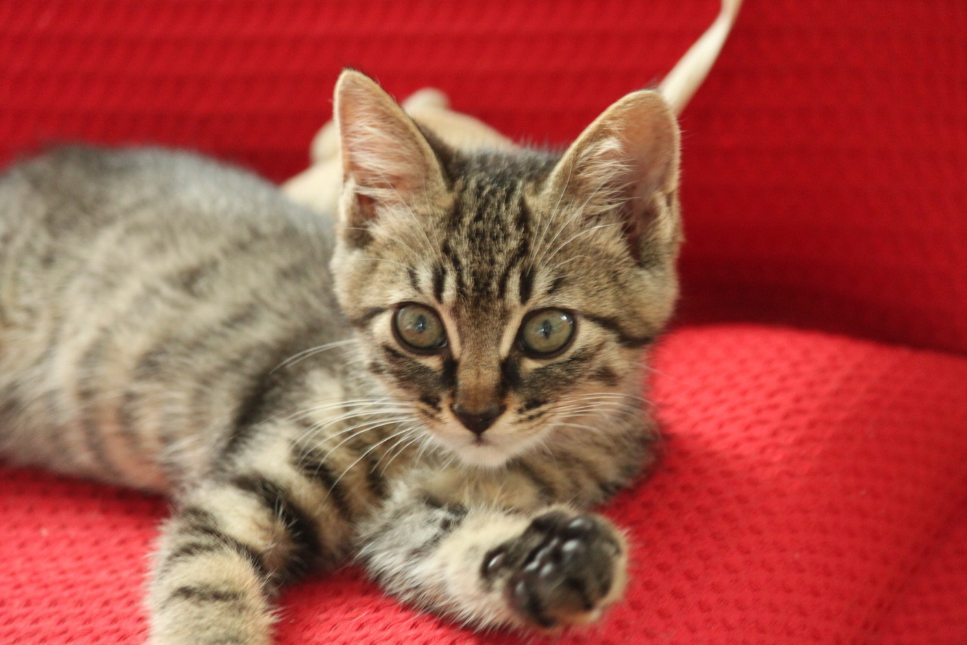 ����H�[��FUMI���̓��L