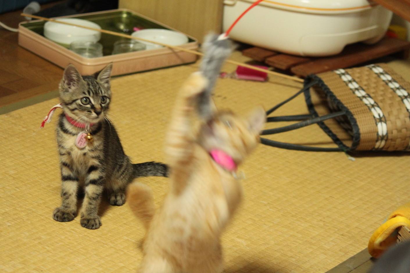 ����H�[��FUMI���̓��L