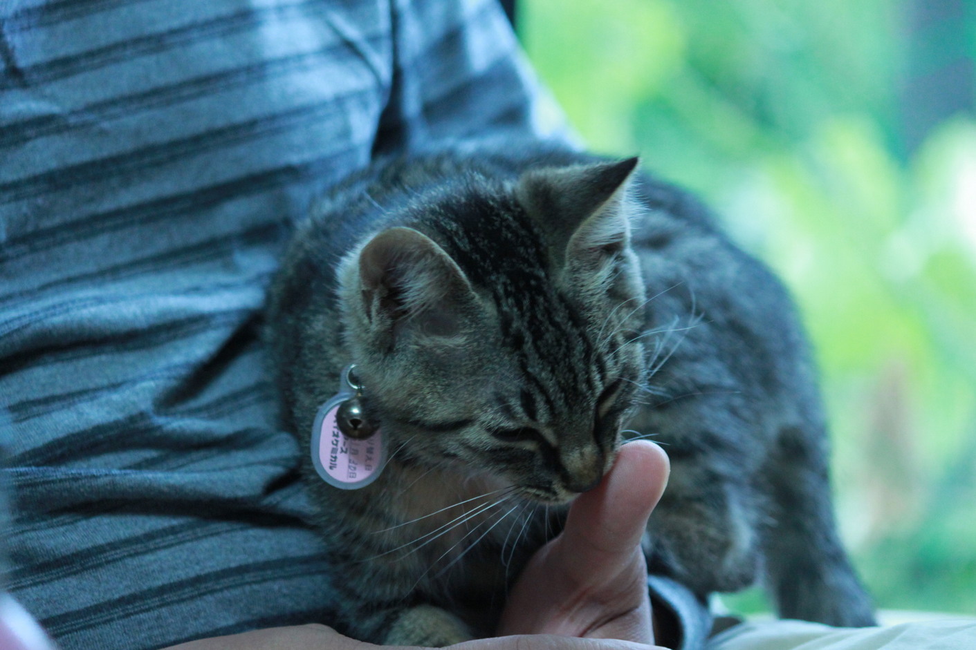 ����H�[��FUMI���̓��L