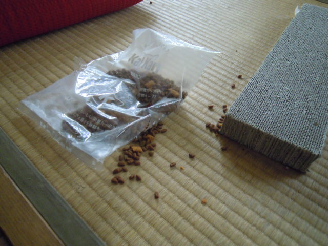 ����H�[��FUMI���̓��L