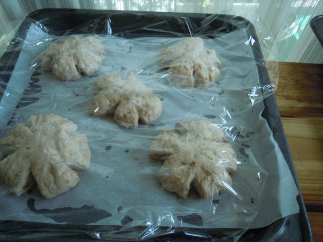 ����H�[��FUMI���̓��L