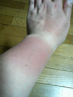 ����H�[��FUMI���̓��L