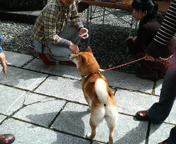 ����H�[��FUMI���̓��L