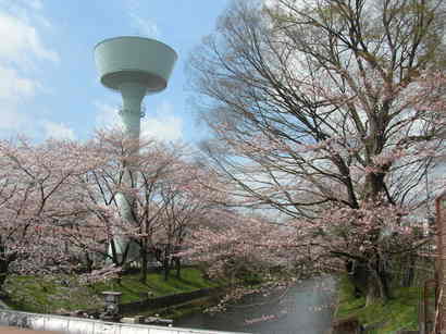 ����H�[��FUMI���̓��L