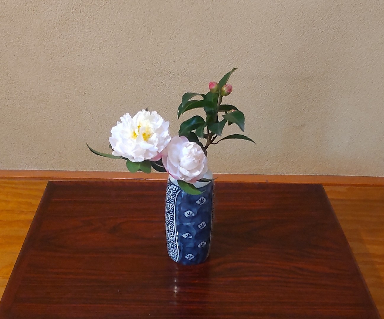 Rԁiق񂢂ڂI@@@@ق킩j