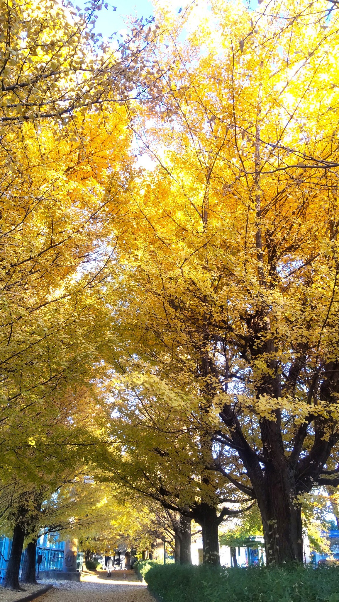 ǁiق񂢂ڂI@@@@ق킩j