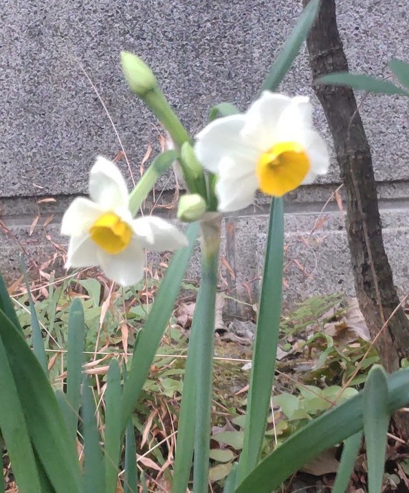 ���{����i�ق񂢂��ڂ��I�������@�������@�@�@�ق�킩�����j