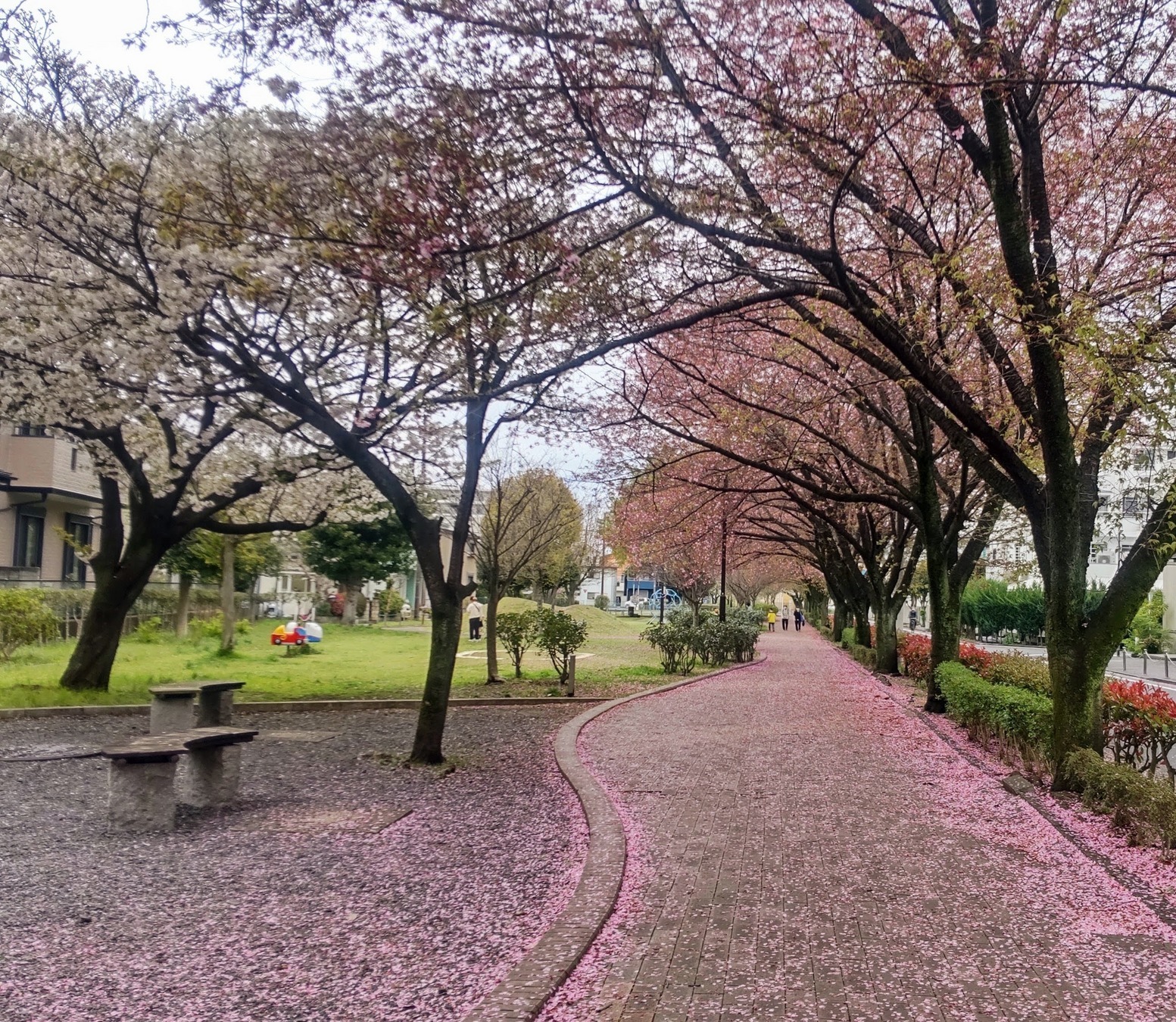 ������i�ق񂢂��ڂ��I�������@�������@�@�@�ق�킩�����j