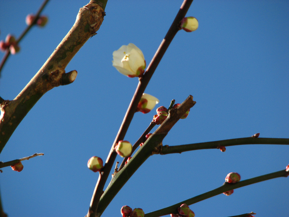 �C�܂܂ȓ��X