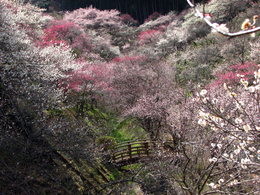 �C�܂܂ȓ��X