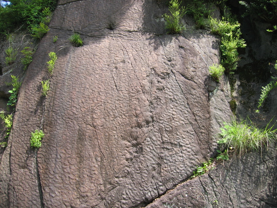 ���������y�[�W