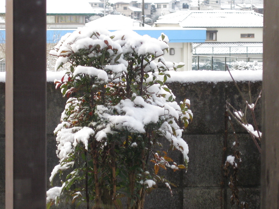 �y�b�g�ƘV�v�w