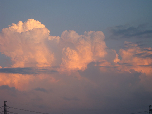 �y�b�g�ƘV�v�w