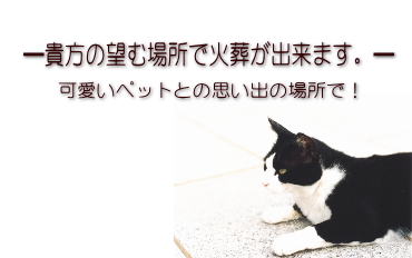 �y�b�g�Α��E�y�b�g���V-�y�b�g�Z�����j�[�Z���^�[�~-�~�s,�����s,�H���s,�������s,���䒬