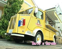 �Ă񂱂�����ǁI�������}��������