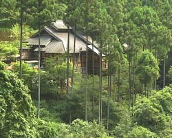 �Ă񂱂�����ǁI�������}��������