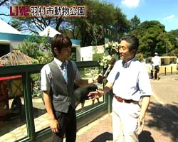 �Ă񂱂�����ǁI�������}��������