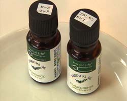 �Ă񂱂�����ǁI�������}��������