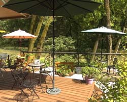 �Ă񂱂�����ǁI�������}��������