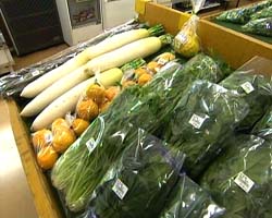 �Ă񂱂�����ǁI�������}��������