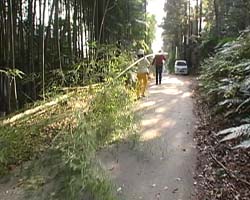 �Ă񂱂�����ǁI�������}��������