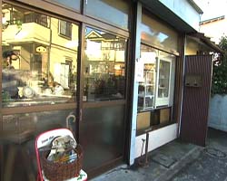 �Ă񂱂�����ǁI�������}��������