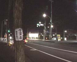 �Ă񂱂�����ǁI�������}��������