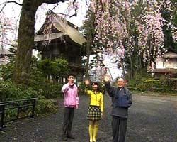 �Ă񂱂�����ǁI�������}��������