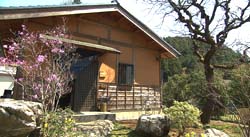 �Ă񂱂�����ǁI�������}��������