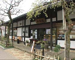 �Ă񂱂�����ǁI�������}��������