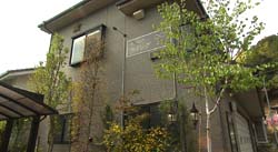 �Ă񂱂�����ǁI�������}��������