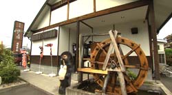 �Ă񂱂�����ǁI�������}��������