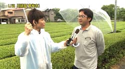 �Ă񂱂�����ǁI�������}��������