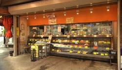 �Ă񂱂�����ǁI�������}��������