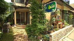 �Ă񂱂�����ǁI�������}��������